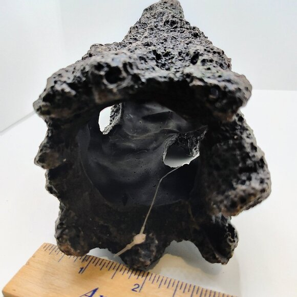 TOP FIN Log Decor - Picture 8 of 8